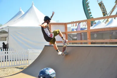 DSC_7556 (Large).JPG